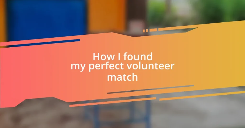 How I found my perfect volunteer match