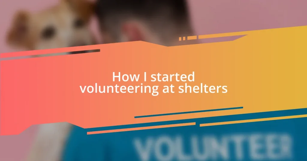 How I started volunteering at shelters