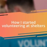 How I started volunteering at shelters