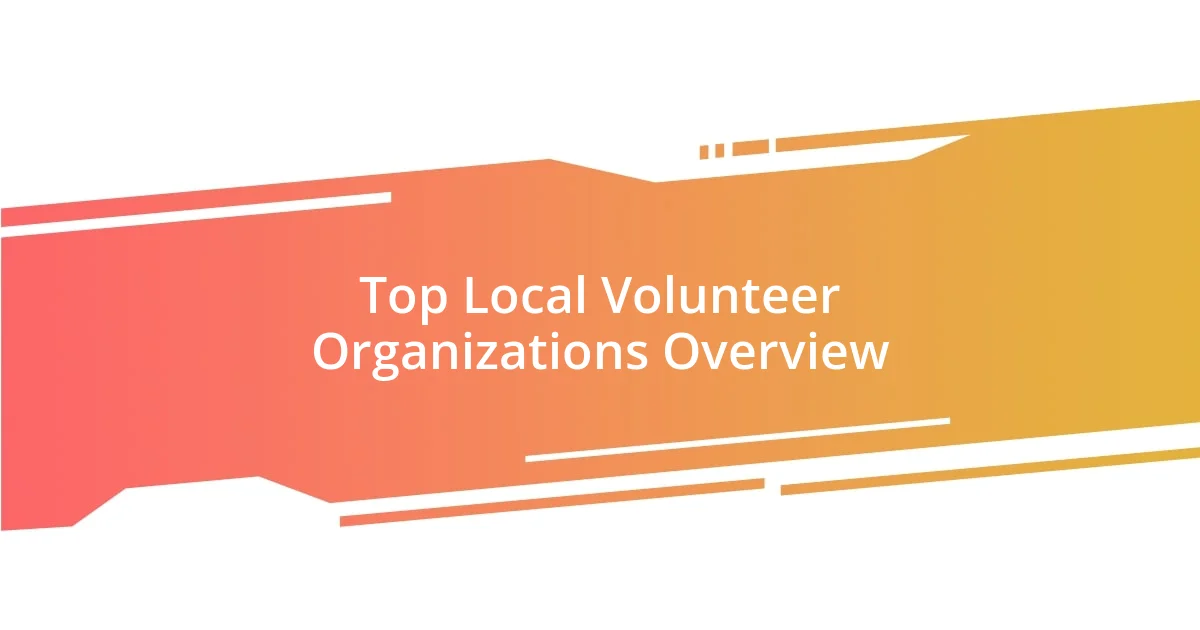 Top Local Volunteer Organizations Overview